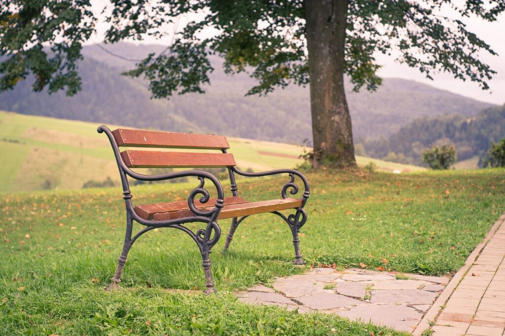 Zielona Ławeczka inicjatywa Fundacji BOŚ